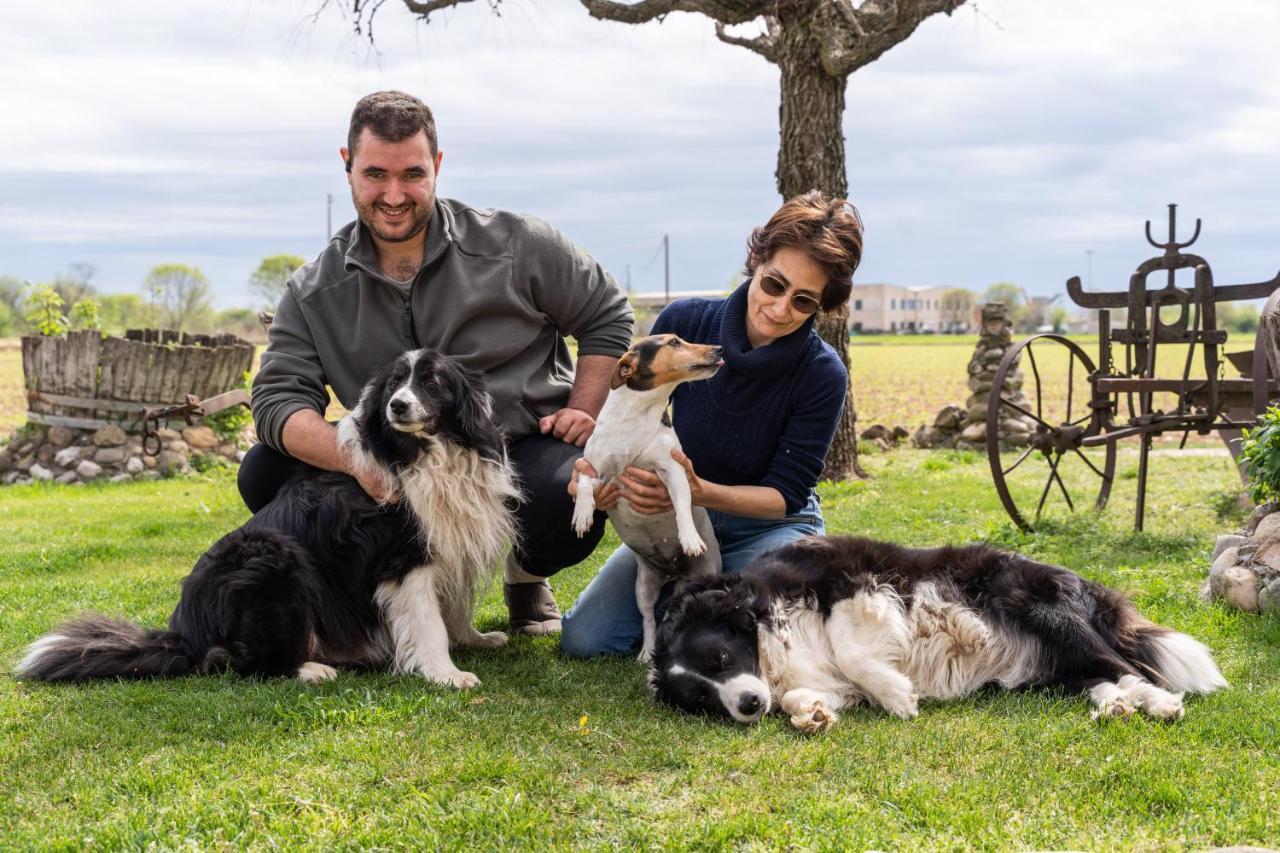 Agriturismo Pozzo Fiorito Castiglione Delle Stiviere Zewnętrze zdjęcie