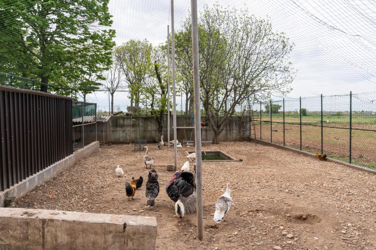 Agriturismo Pozzo Fiorito Castiglione Delle Stiviere Zewnętrze zdjęcie