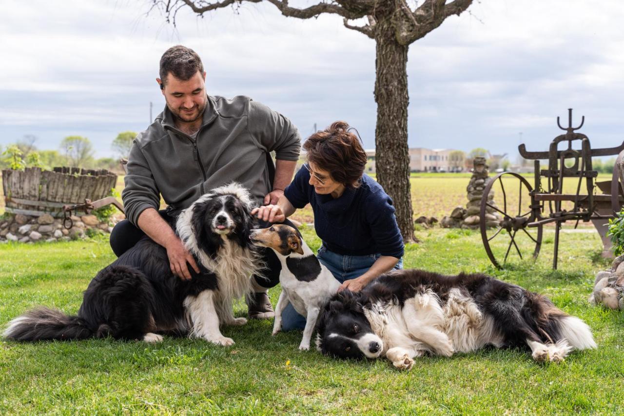 Agriturismo Pozzo Fiorito Castiglione Delle Stiviere Zewnętrze zdjęcie