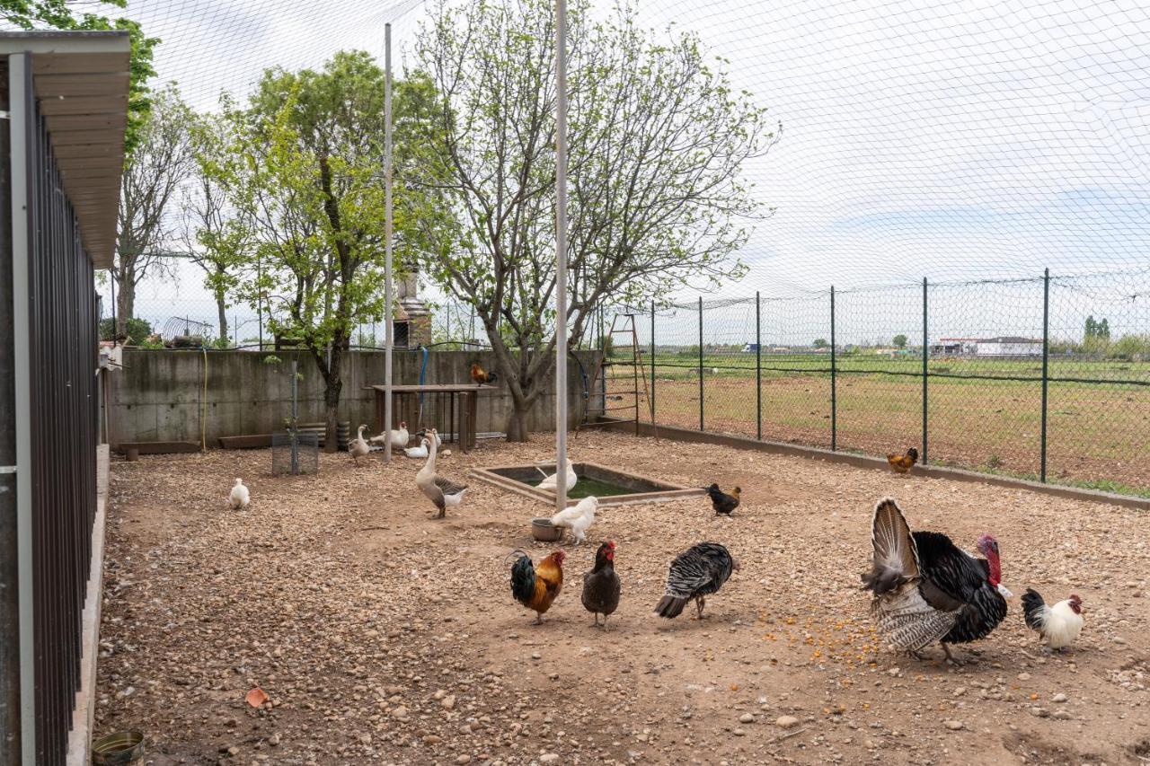 Agriturismo Pozzo Fiorito Castiglione Delle Stiviere Zewnętrze zdjęcie