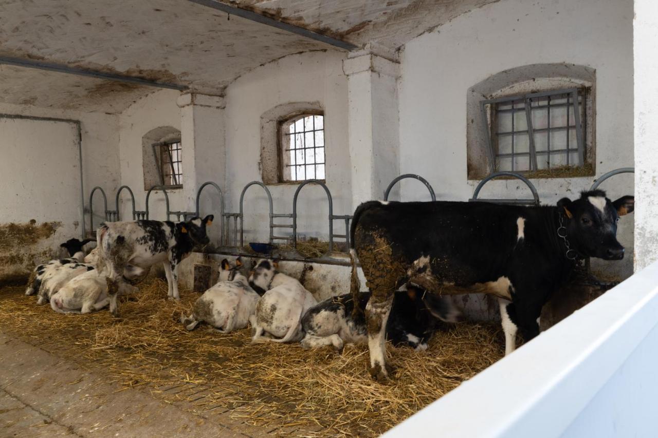 Agriturismo Pozzo Fiorito Castiglione Delle Stiviere Zewnętrze zdjęcie