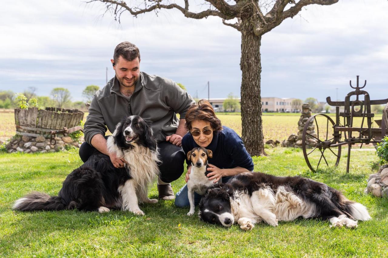 Agriturismo Pozzo Fiorito Castiglione Delle Stiviere Zewnętrze zdjęcie
